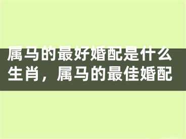 属马的最好婚配是什么生肖，属马的最佳婚配