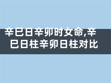 辛巳日辛卯时女命,辛巳日柱辛卯日柱对比