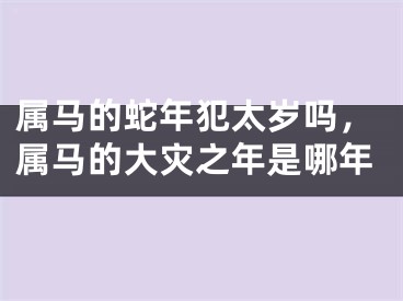 属马的蛇年犯太岁吗,属马的大灾之年是哪年