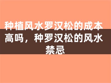 种植风水罗汉松的成本高吗,种罗汉松的风水禁忌