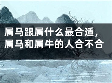 属马跟属什么最合适,属马和属牛的人合不合