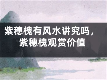 紫穗槐有风水讲究吗,紫穗槐观赏价值