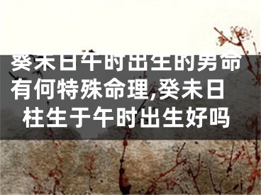 葵未日午时出生的男命有何特殊命理,癸未日柱生于午时出生好吗