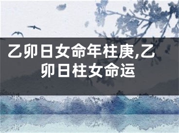 乙卯日女命年柱庚,乙卯日柱女命运