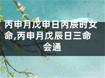 丙申月戊申日丙辰时女命,丙申月戊辰日三命会通