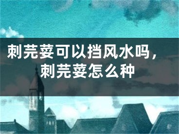刺芫荽可以挡风水吗，刺芫荽怎么种