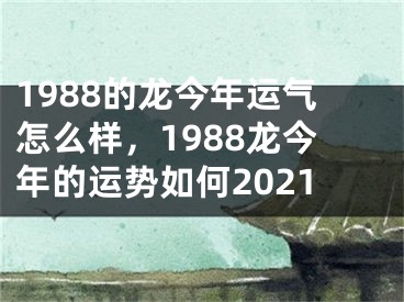 1988的龙今年运气怎么样，1988龙今年的运势如何2021