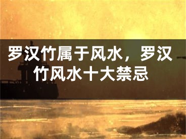 罗汉竹属于风水，罗汉竹风水十大禁忌