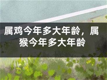 属鸡今年多大年龄，属猴今年多大年龄