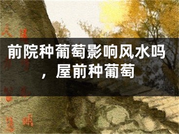 前院种葡萄影响风水吗，屋前种葡萄