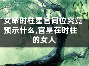 女命时柱星官同位究竟预示什么,官星在时柱的女人