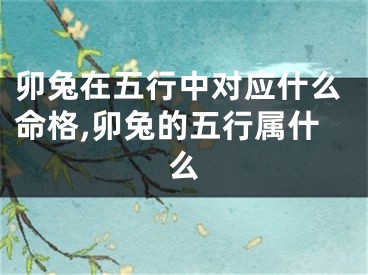 卯兔在五行中对应什么命格,卯兔的五行属什么