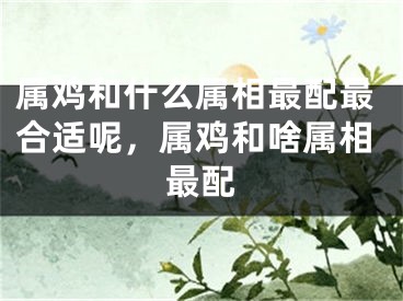 属鸡和什么属相最配最合适呢,属鸡和啥属相最配