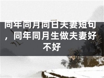 同年同月同日夫妻短句，同年同月生做夫妻好不好
