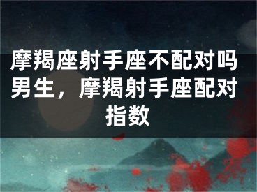 摩羯座射手座不配对吗男生，摩羯射手座配对指数