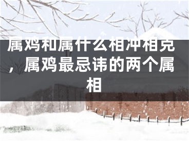 属鸡和属什么相冲相克,属鸡最忌讳的两个属相