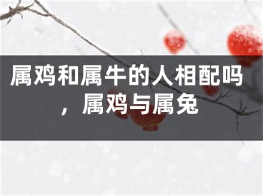 属鸡和属牛的人相配吗,属鸡与属兔