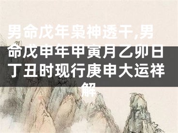 男命戊年枭神透干,男命戊申年甲寅月乙卯日丁丑时现行庚申大运祥解
