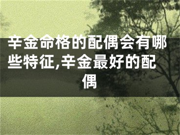 辛金命格的配偶会有哪些特征,辛金最好的配偶
