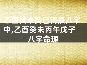 乙酉癸未癸巳丙辰八字中,乙酉癸未丙午戊子八字命理