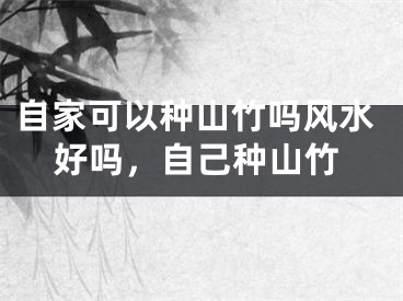 自家可以种山竹吗风水好吗,自己种山竹