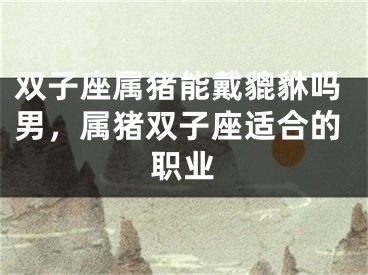 双子座属猪能戴貔貅吗男，属猪双子座适合的职业