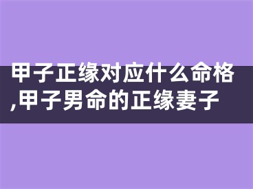 甲子正缘对应什么命格,甲子男命的正缘妻子