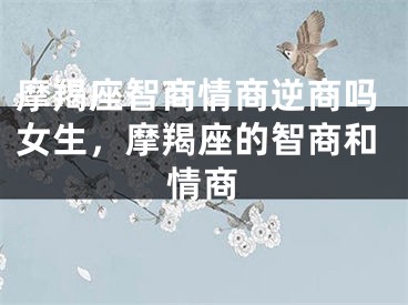 摩羯座智商情商逆商吗女生,摩羯座的智商和情商