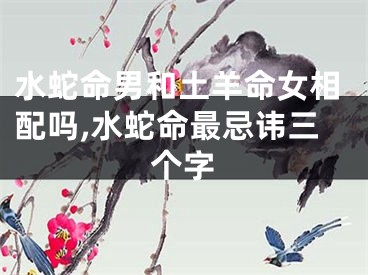 水蛇命男和土羊命女相配吗,水蛇命最忌讳三个字