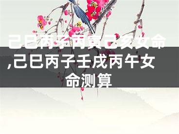 己巳丙子丙寅己亥女命,己巳丙子壬戌丙午女命测算
