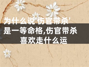 为什么说'伤官带杀'是一等命格,伤官带杀喜欢走什么运