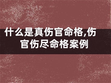 什么是真伤官命格,伤官伤尽命格案例