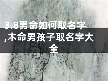 3.8男命如何取名字,木命男孩子取名字大全