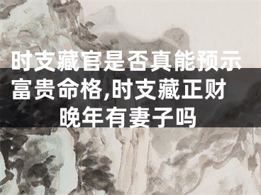 时支藏官是否真能预示富贵命格,时支藏正财晚年有妻子吗