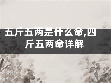 五斤五两是什么命,四斤五两命详解