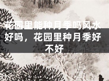 花园里能种月季吗风水好吗，花园里种月季好不好