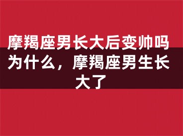 摩羯座男长大后变帅吗为什么，摩羯座男生长大了
