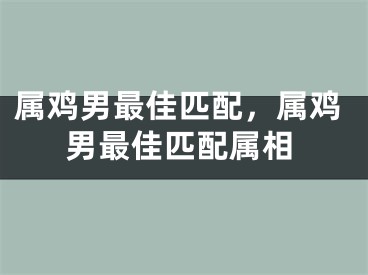 属鸡男最佳匹配，属鸡男最佳匹配属相