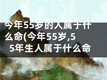 今年55岁的人属于什么命(今年55岁,55年生人属于什么命
