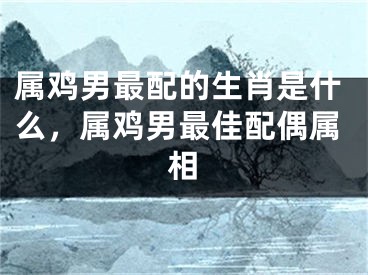 属鸡男最配的生肖是什么，属鸡男最佳配偶属相