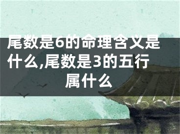 尾数是6的命理含义是什么,尾数是3的五行属什么