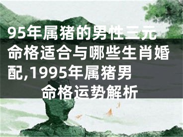 95年属猪的男性三元命格适合与哪些生肖婚配,1995年属猪男命格运势解析