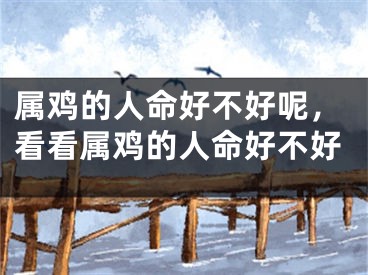 属鸡的人命好不好呢，看看属鸡的人命好不好