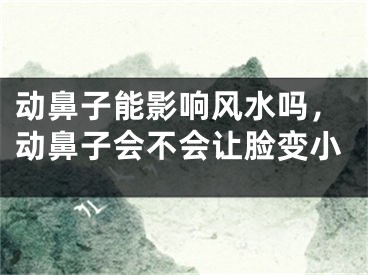 动鼻子能影响风水吗，动鼻子会不会让脸变小