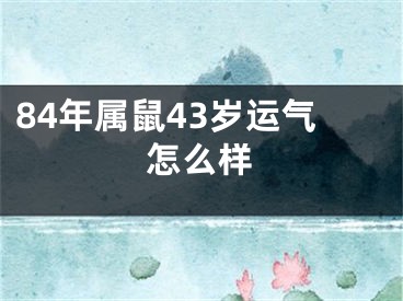 84年属鼠43岁运气怎么样
