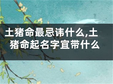 土猪命最忌讳什么,土猪命起名字宜带什么