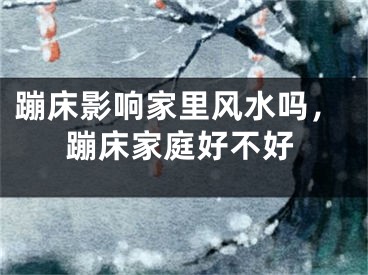 蹦床影响家里风水吗，蹦床家庭好不好