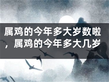 属鸡的今年多大岁数啦,属鸡的今年多大几岁
