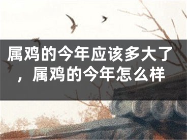 属鸡的今年应该多大了,属鸡的今年怎么样