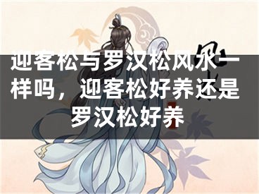 迎客松与罗汉松风水一样吗,迎客松好养还是罗汉松好养